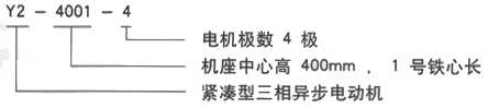 YR系列(H355-1000)高压YKK5603-12/450KW三相异步电机西安西玛电机型号说明